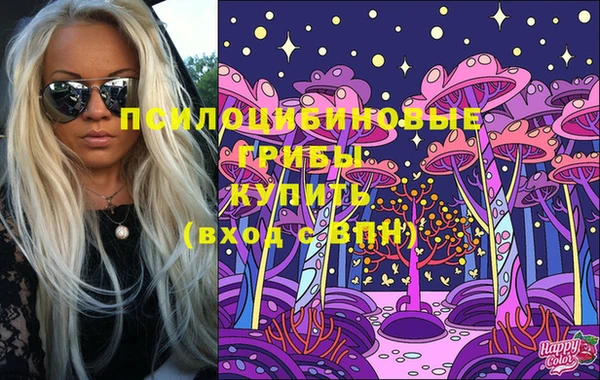 mdpv Няндома