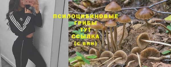 бошки Осинники