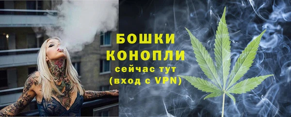 прущие грибы Губаха