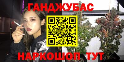 индика Гусиноозёрск