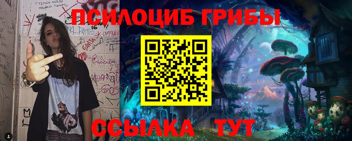 Псилоцибиновые грибы Magic Shrooms  Киржач 