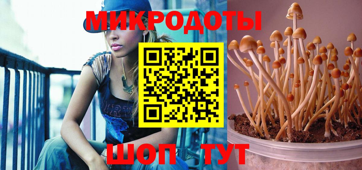 Галлюциногенные грибы MAGIC MUSHROOMS Киржач