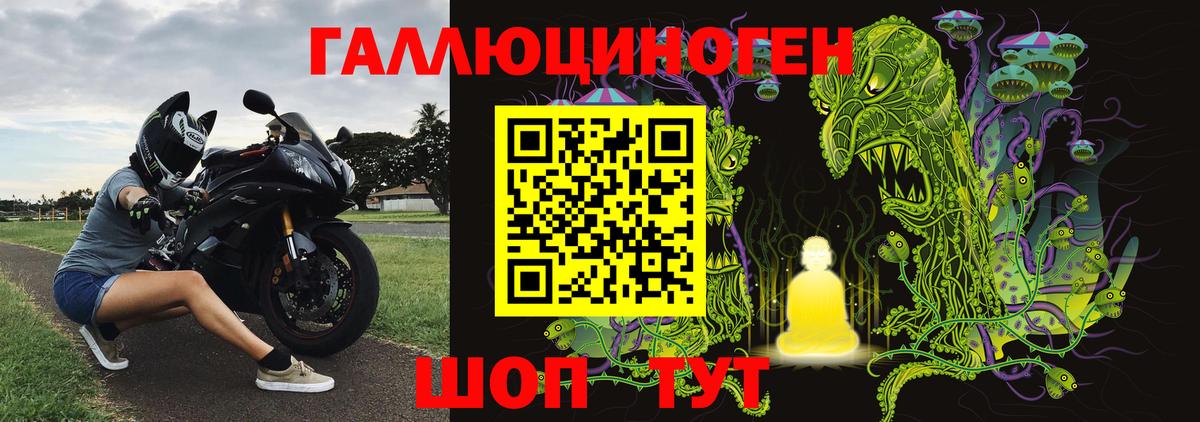 Псилоцибиновые грибы мицелий Киржач