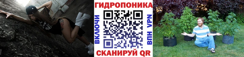 МАРИХУАНА конопля  продажа наркотиков  Киржач 